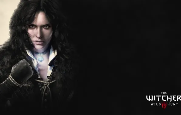 Picture the Witcher, rpg, the wild hunt, wild hunt, the witcher 3, cd Projekt red, , …