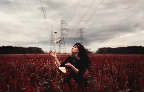 Picture field, girl, phone