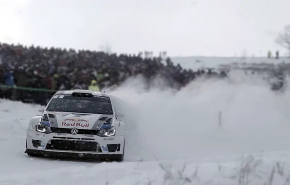 Picture Snow, Volkswagen, Turn, Skid, WRC, Rally, The front, Polo, Blur