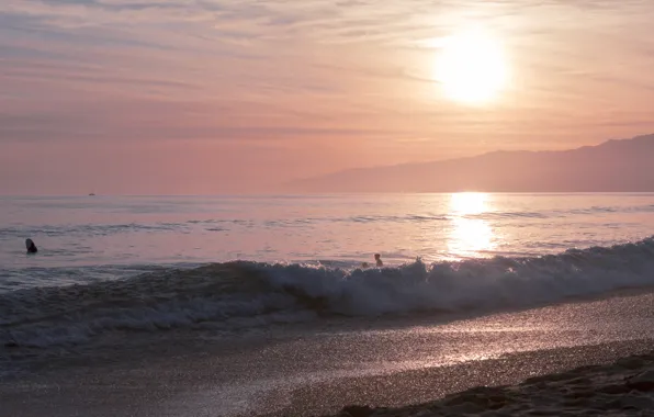 Picture sea, sunset, shore, beach, sea, sunset, seascape, beautiful, purple
