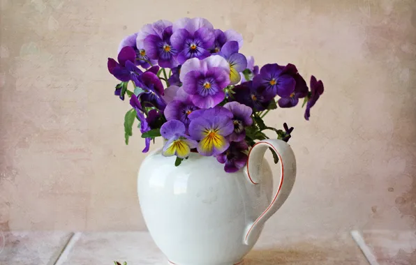 Picture texture, pitcher, Pansy, a bunch
