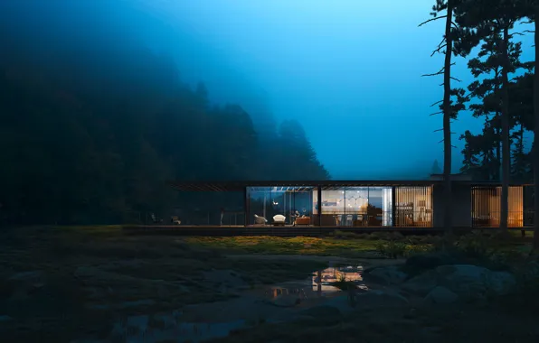 Picture forest, night, house
