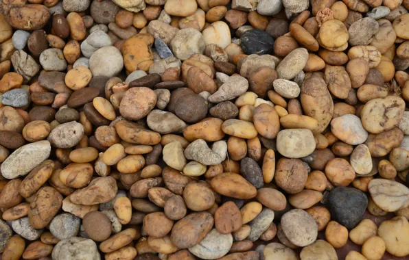 Picture beach, pebbles, stones, background, beach, texture, marine, sea