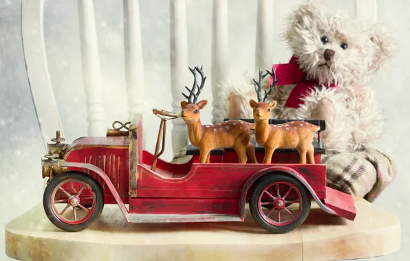 Picture machine, auto, chair, deer, Teddy bear