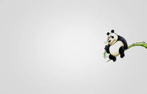 Picture tree, animal, minimalism, branch, Panda, sitting, eats, panda