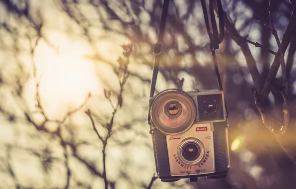 Picture warm glow, Starmite Camera, muted colors