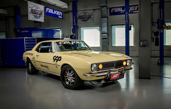 Picture Muscle, Camaro, Super Chevy