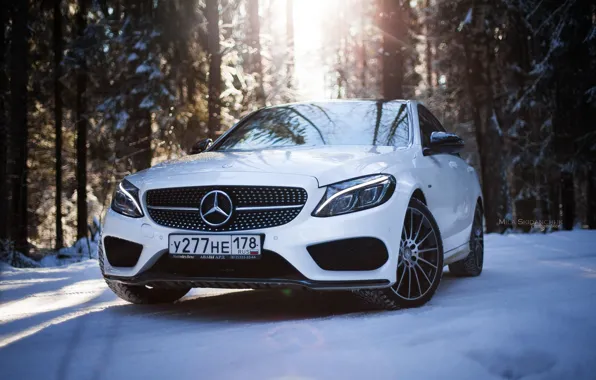 Picture winter, car, machine, auto, city, fog, race, tale, car, red, mercedes, sports car, car, need …