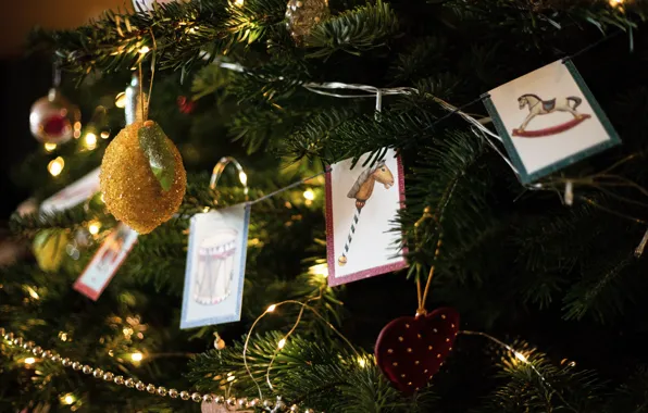 Picture branches, lemon, Christmas, New year, needles, heart, flags, Christmas decorations, Christmas decorations, Christmas tree, horses