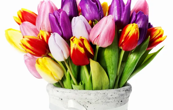 Picture flowers, yellow, purple, tulips, red