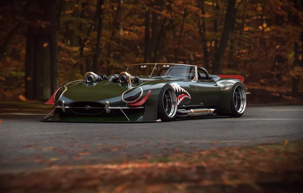 Picture Concept, Jaguar, E-Type, Power, Turbo, by Khyzyl Saleem