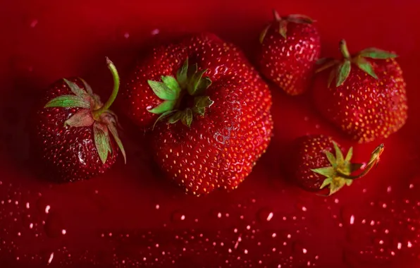 Picture drops, macro, berries, strawberry, huge, red background, ripe, Victoria