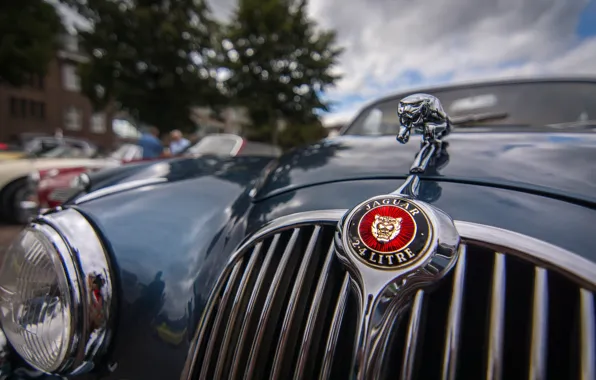 Picture macro, Jaguar, headlight, the hood, grille