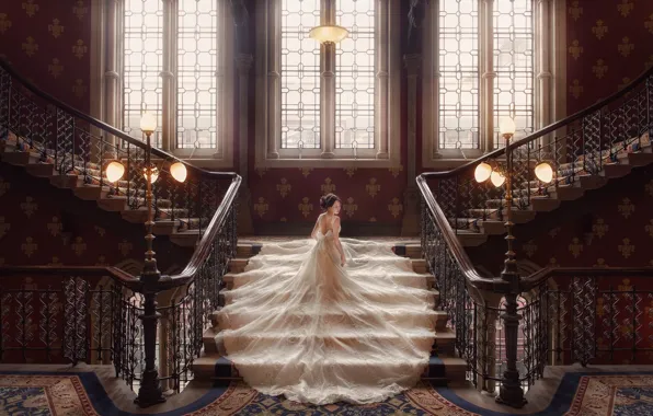 Picture Windows, dress, lights, ladder, the bride, wedding, wedding dress