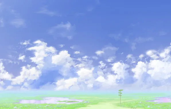 Picture road, summer, the sky, index