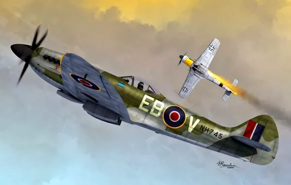 Picture Spitfire, Air force, Royal Air Force, WWII, Spitfire Mk.XIV, Fw-190D-9, Fw. 190