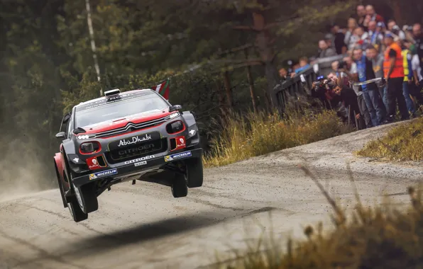 Picture Auto, Forest, Sport, Machine, Speed, Race, Citroen, Citroen, Car, WRC, Rally, Rally, Flies, Citroen С3, …