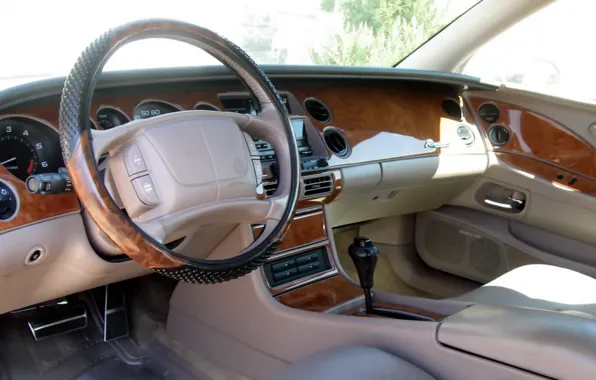 Picture classic, interior, Riviera, Buick, cockpit, 1996