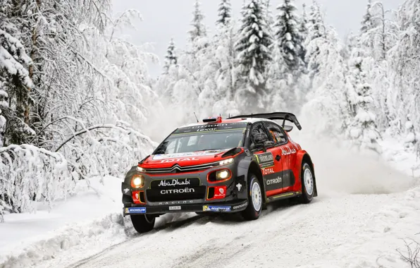 Picture Winter, Auto, Snow, Forest, Sport, Machine, Race, Citroen, Citroen, Car, WRC, Rally, Rally, Kris Meeke, …