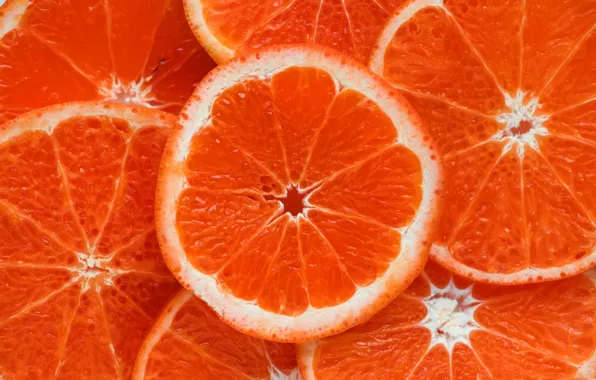 Picture orange, food, ring, slice, citrus
