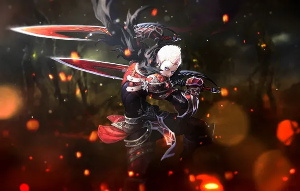 Picture warrior, guy, swords, Echo of Soul