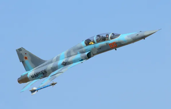 Picture fighter, cabin, pilot, Northrop F-5