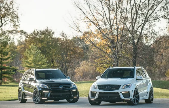 Picture Mercedes, Benz, Ball Wed, M-Class