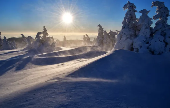 Picture winter, the sun, rays, snow, trees, landscape, mountains, nature