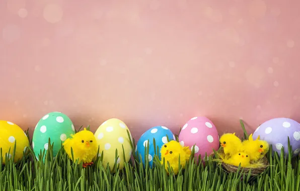 Picture grass, chickens, spring, Easter, pink, spring, Easter, eggs, decoration, Happy, the painted eggs