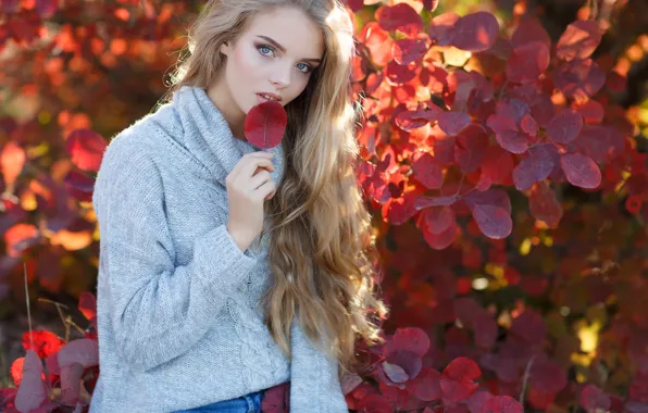 Picture autumn, look, girl, light, pose, grey, leaf, hand