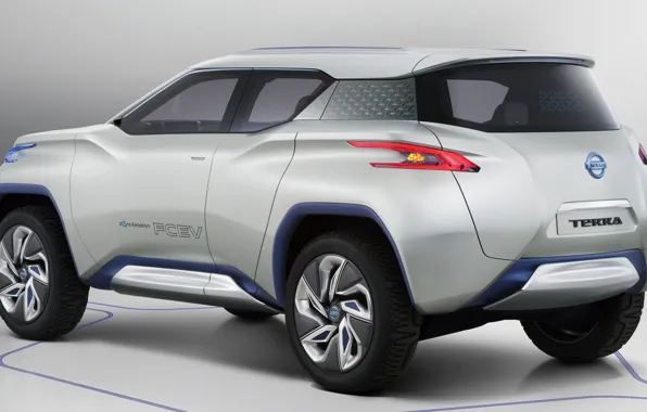Picture Concept, Nissan, TERRA