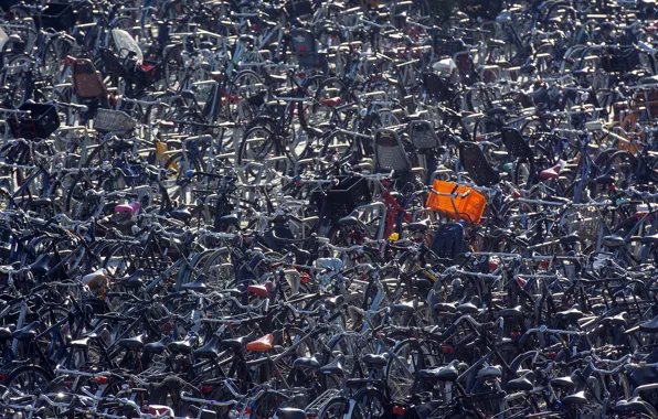 Picture the city, street, bikes