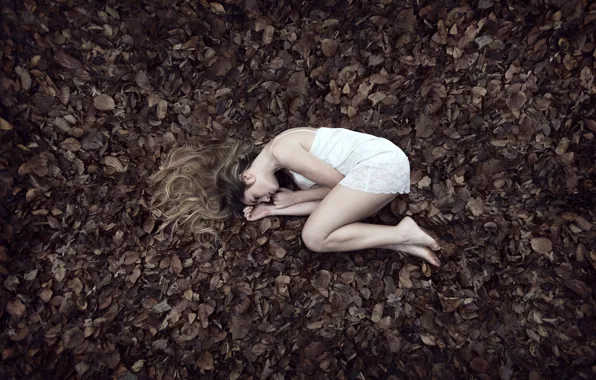 Picture light, girl, long hair, young, autumn, leaves, model, beauty, lady, hair, sleep, sleeping, fall, natural, …