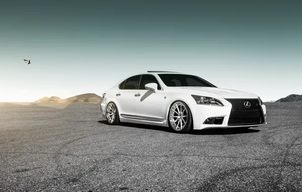 Picture car, lexus, rechange