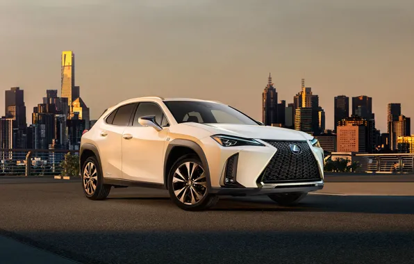 Picture concept, Lexus, lexus us