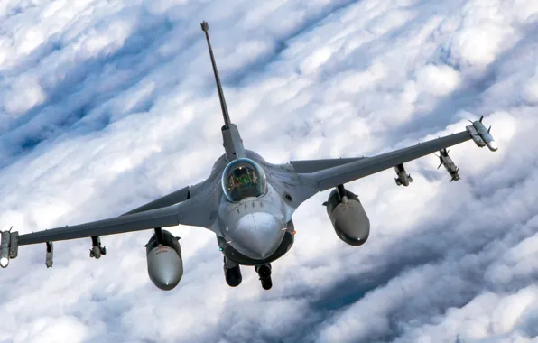 Picture UNITED STATES AIR FORCE, General Dynamics F-16 Fighting Falcon, the fourth generation fighter, American multifunctional …