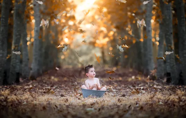 Picture autumn, boy, nature