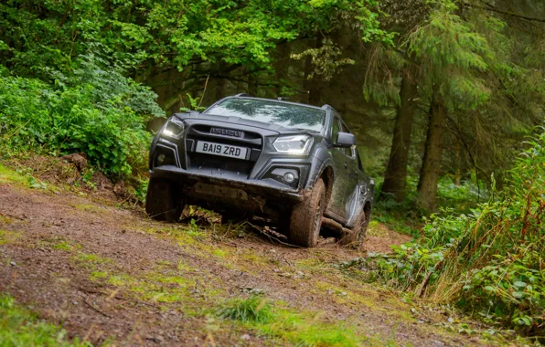 Picture pickup, in the woods, Isuzu, D-Max, 2019, UK version, XTR