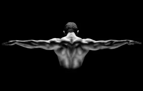 Picture man, back, muscular