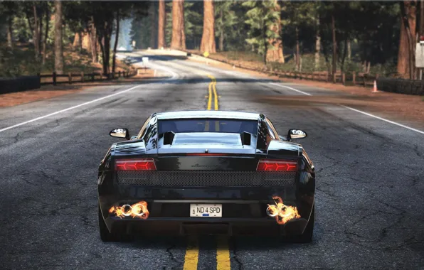 Picture nfs, hot pursuit, need for speed hot pursuit