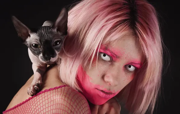 Picture look, background, Sphynx, Albina Zavtur