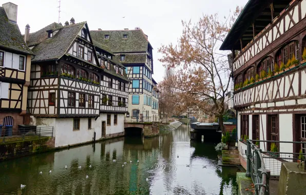Picture Europa, France, House of the Tanners, Strasbourg