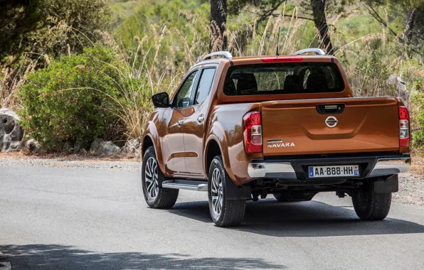 Picture Nissan, rear view, pickup, Navara, 2015, NP300