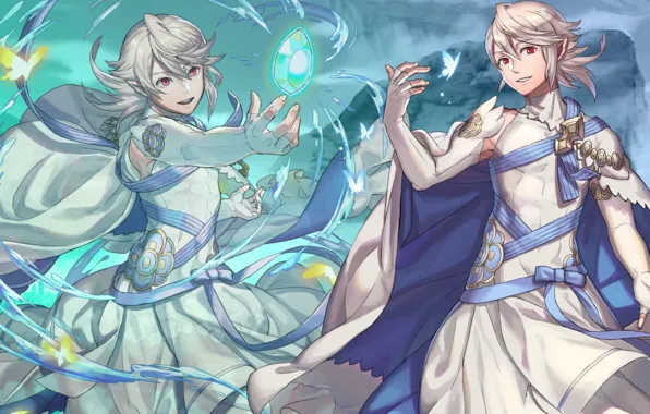 Picture crystal, magic, the game, guy, Fire Emblem