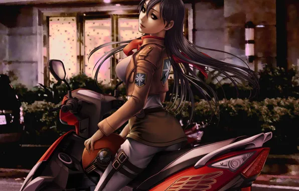 Picture look, girl, form, art, scooter, shingeki no kyojin, mikasa ackerman, kiazee