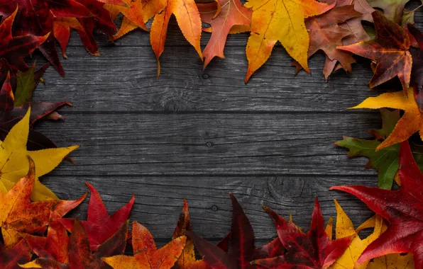 Picture autumn, leaves, the dark background, Board, texture, yellow, red, maple, wooden background, autumn leaves
