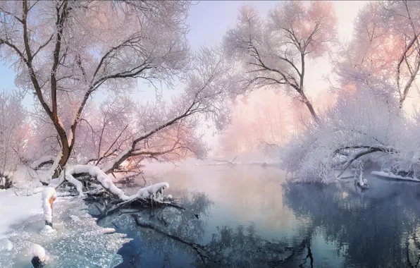 Picture winter, frost, snow, trees, landscape, nature, river, Belarus, Svisloch, Vlad Sokolovsky