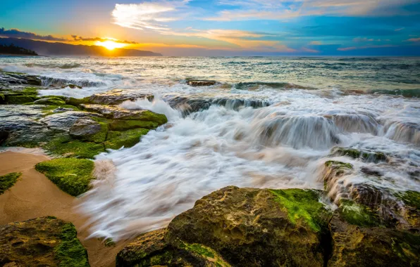 Picture sunset, tropics, the ocean, coast, horizon, Hawaii