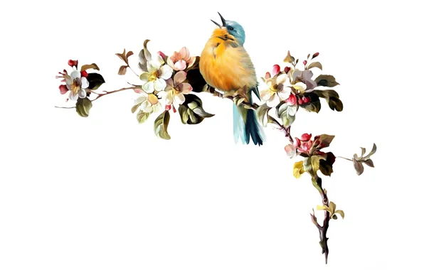 Picture flowers, sprig, white background, bird