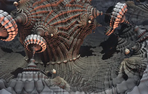 Picture form, fractal, brown